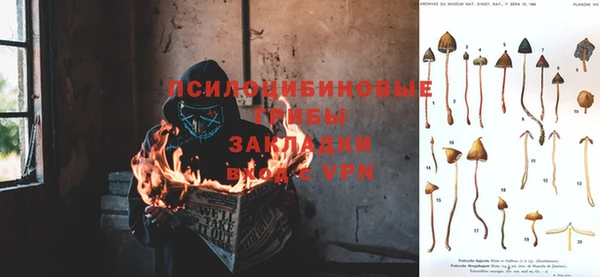 кристаллы Белокуриха