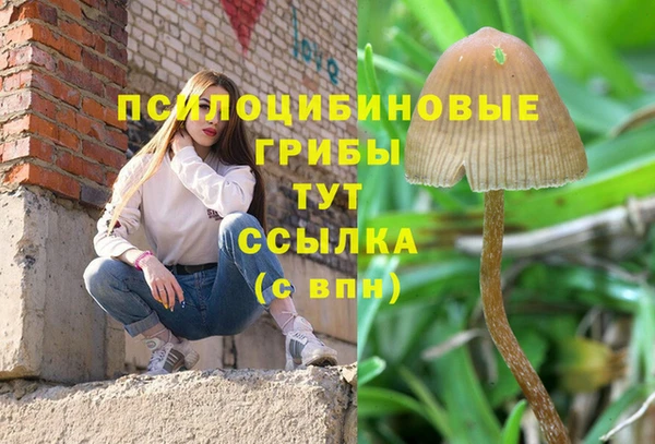 кристаллы Белокуриха