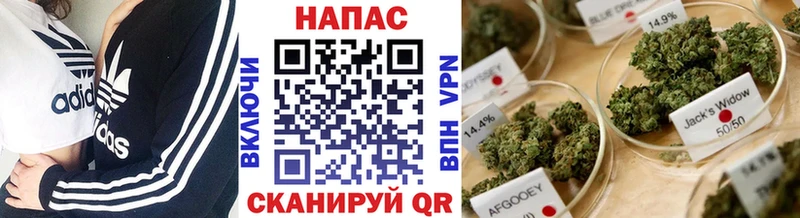 где можно купить наркотик  площадка наркотические препараты  Бошки Шишки Bruce Banner  Будённовск 